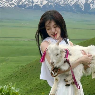 健全机斗士